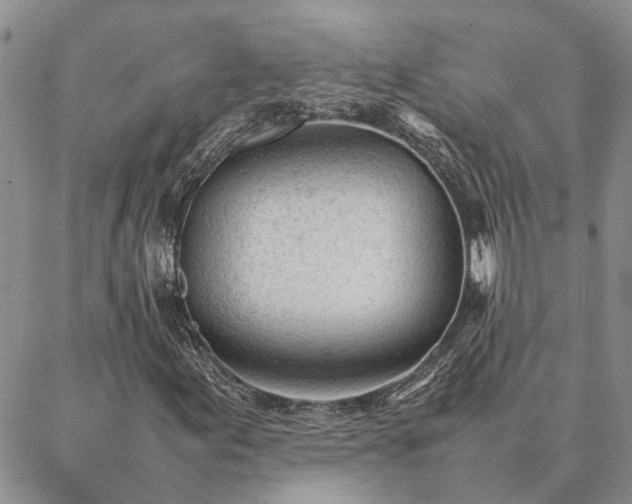 X0000087391155200704271615