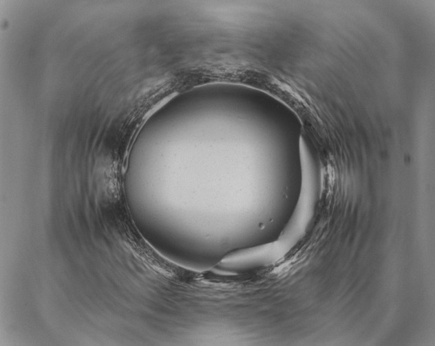 X0000087391156200704271615