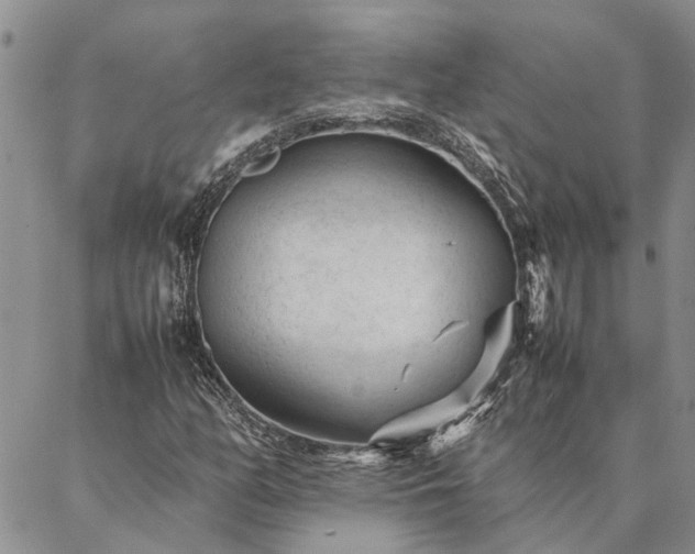 X0000087391158200704271615