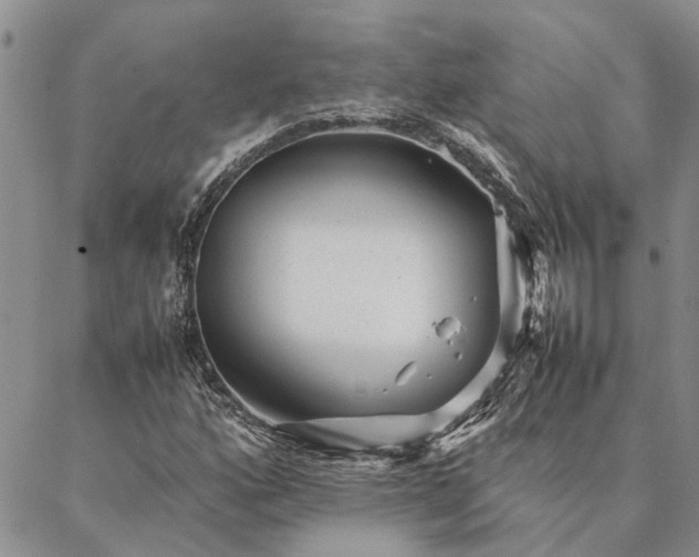 X0000087391160200704271615