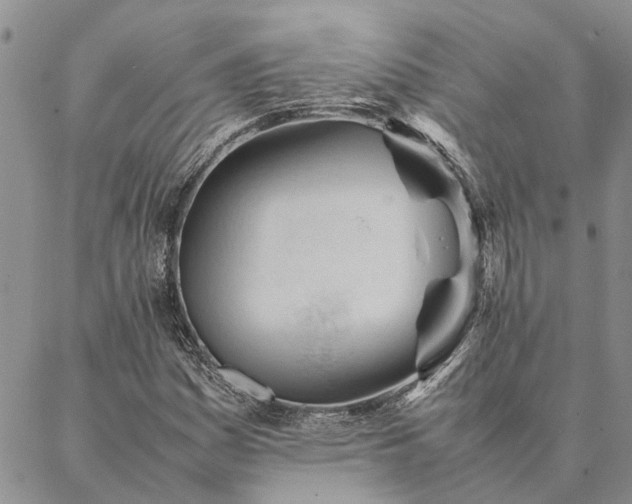 X0000087391161200704271615