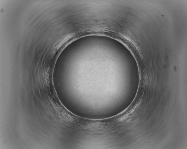 X0000087391162200704271615