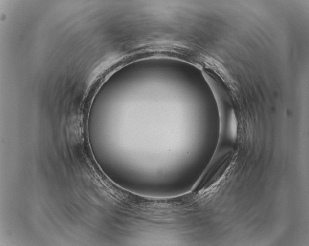 X0000087391164200704271615