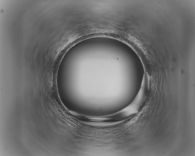 X0000087391165200704271615