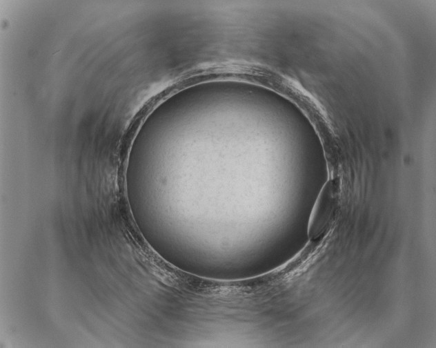 X0000087391166200704271615