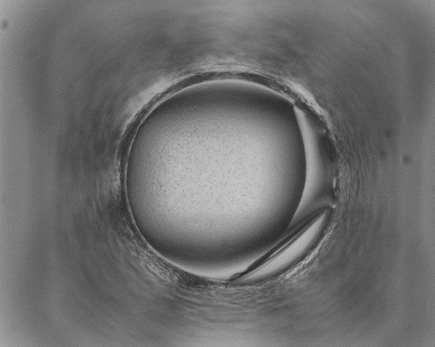 X0000087391167200704271615