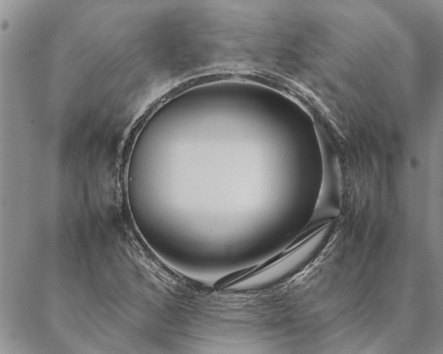 X0000087391168200704271615