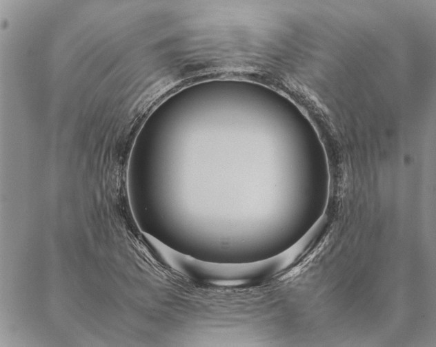 X0000087391169200704271615