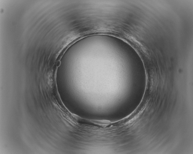 X0000087391170200704271615