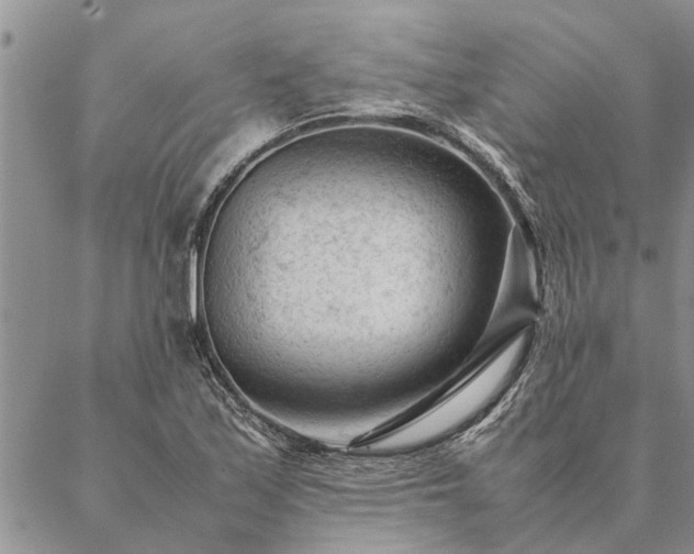 X0000087391171200704271615