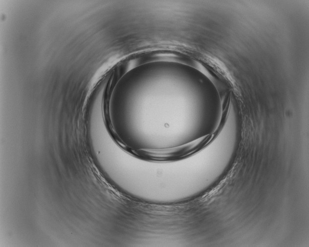 X0000087391172200704271615