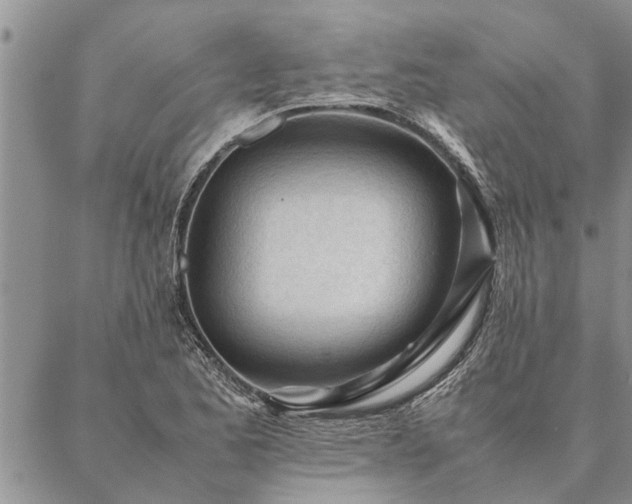 X0000087391173200704271615