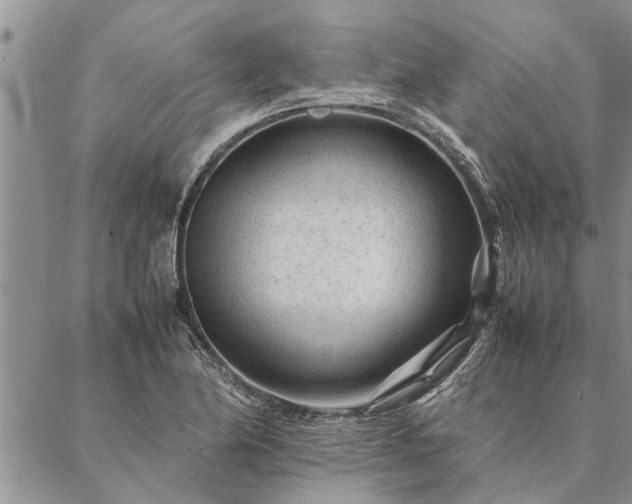 X0000087391174200704271615