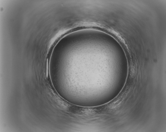 X0000087391175200704271615