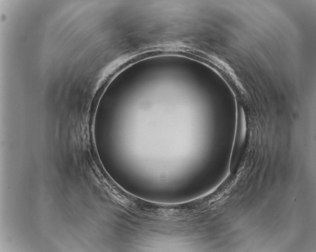 X0000087391176200704271615