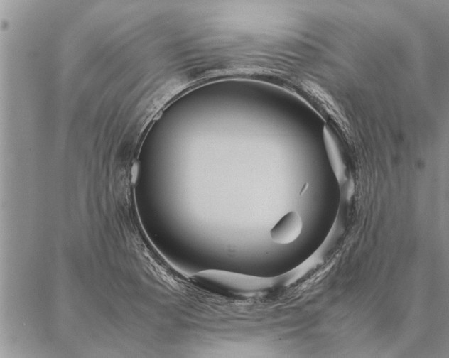 X0000087391177200704271615