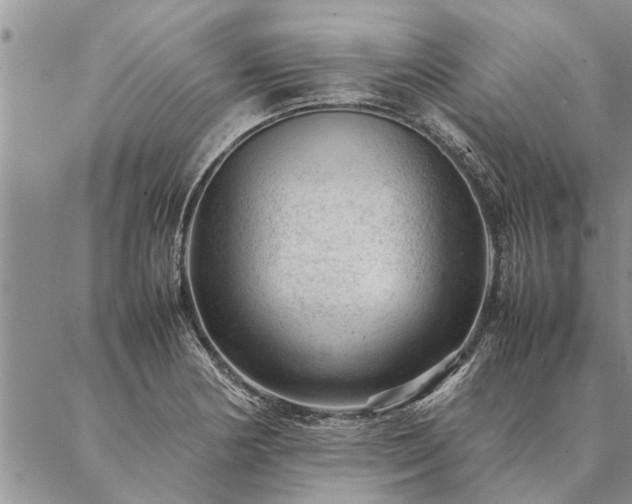 X0000087391178200704271615