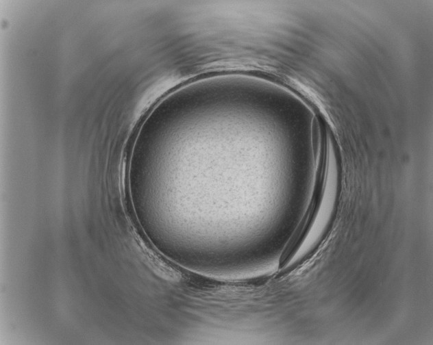 X0000087391179200704271615