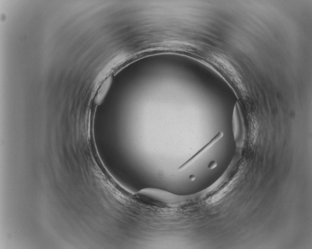 X0000087391180200704271615