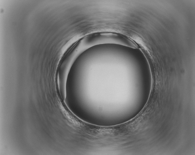 X0000087391181200704271615