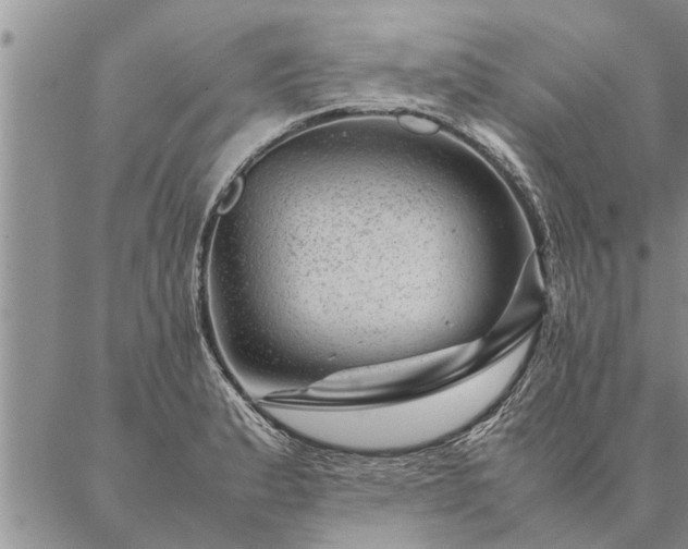 X0000087391183200704271614