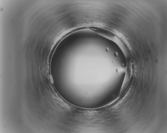 X0000087391184200704271614