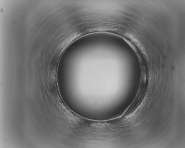 X0000087391185200704271614