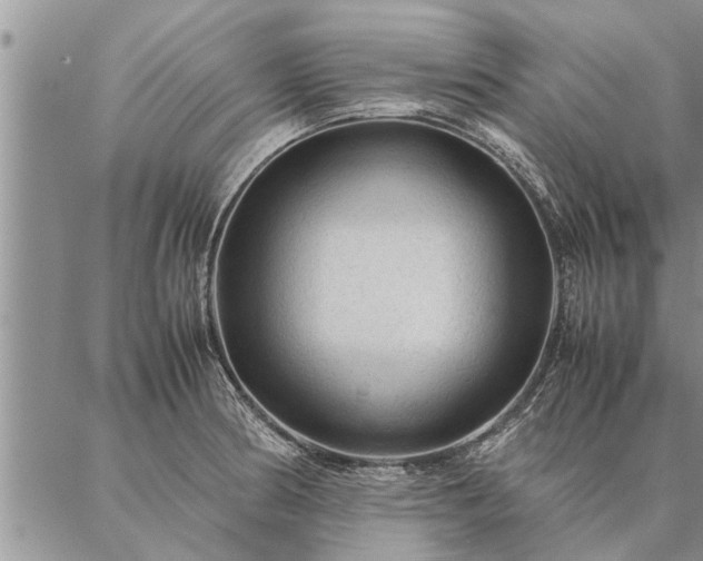 X0000087391186200704271614