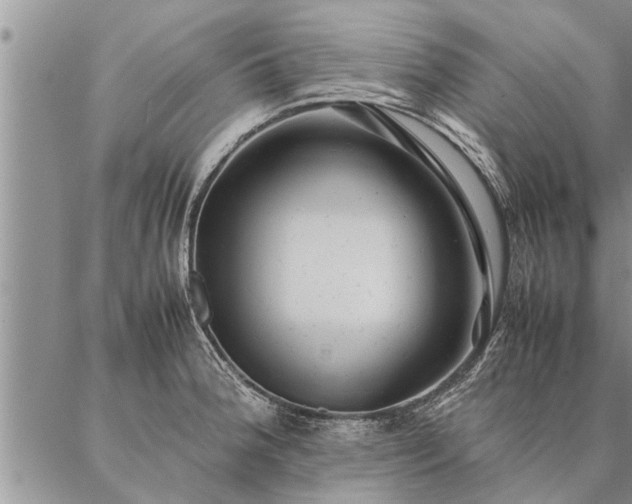 X0000087391188200704271614