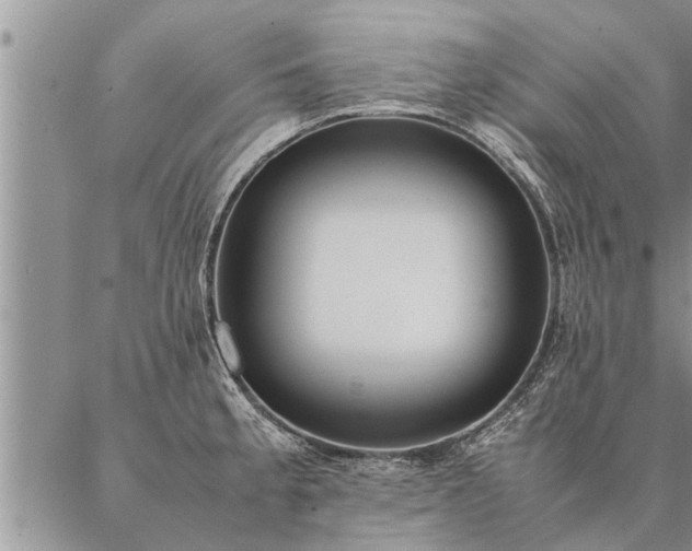 X0000087391189200704271614