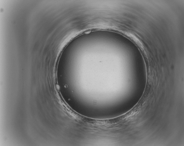 X0000087391191200704271614