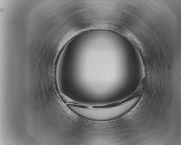 X0000087391192200704271614