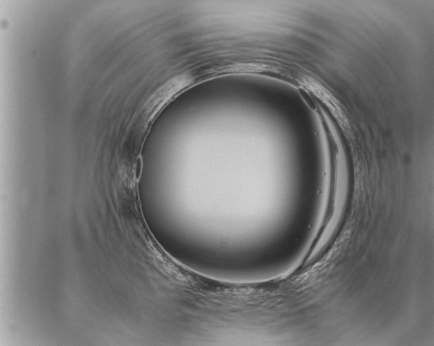 X0000087391193200704271614