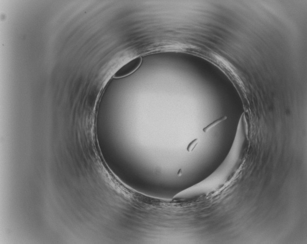 X0000087391194200704271614