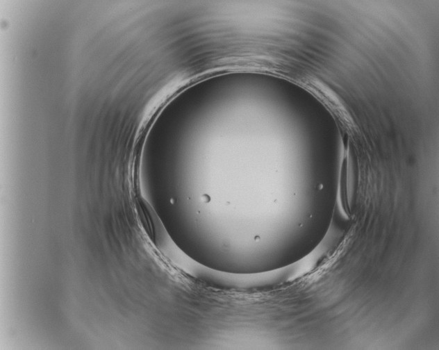 X0000087391196200704271614