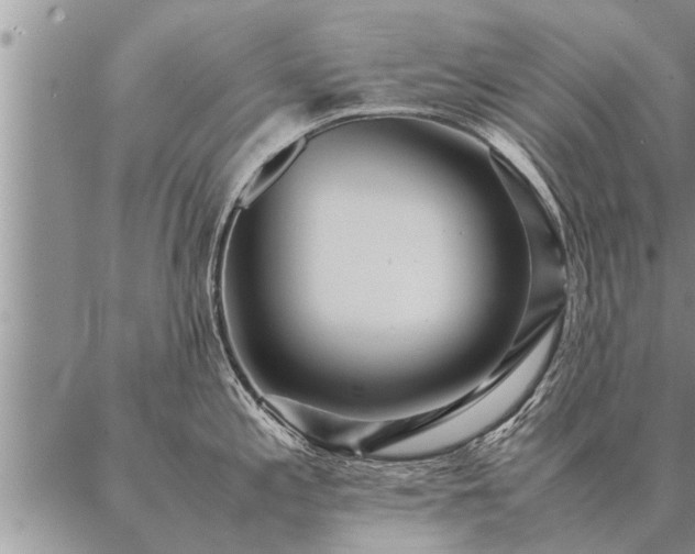 X0000087391197200704271614