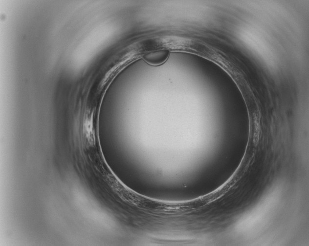 X0000087391198200704271614