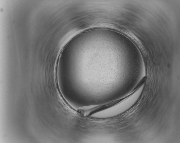 X0000087391199200704271614