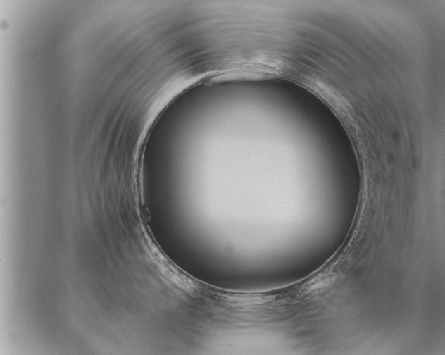 X0000087391200200704271614