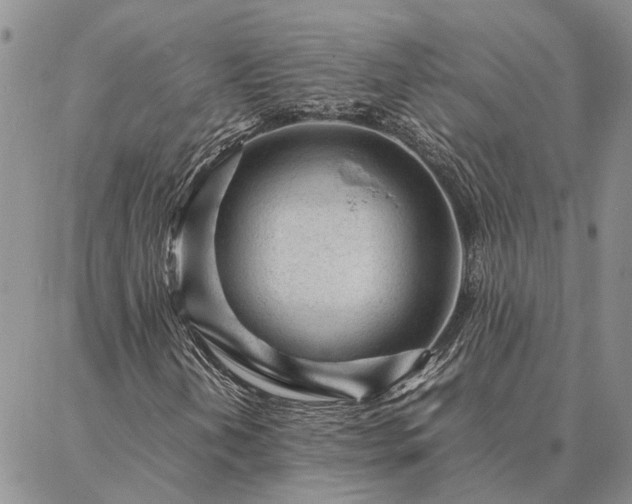 X0000087391202200704271613