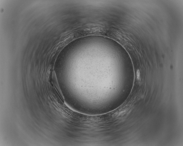 X0000087391203200704271613