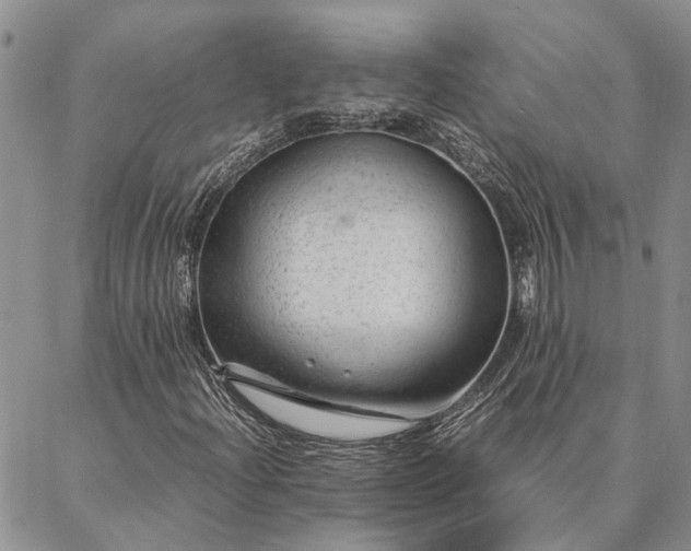 X0000087391204200704271613