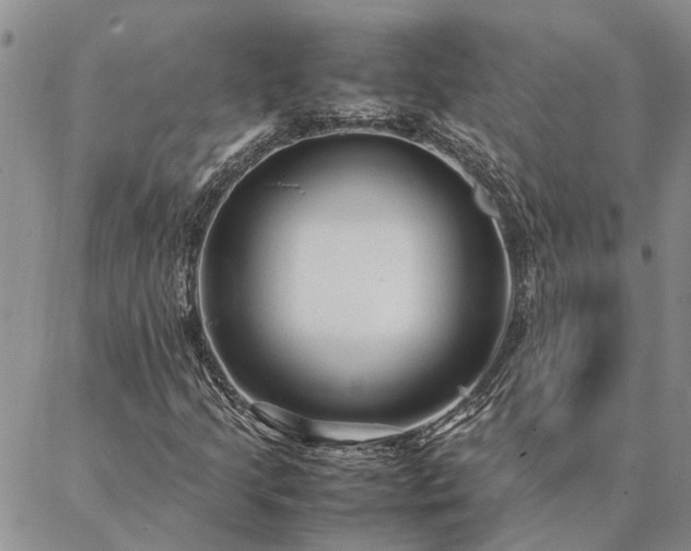 X0000087391205200704271614