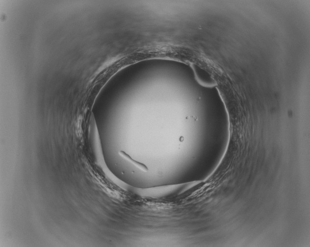 X0000087391206200704271614