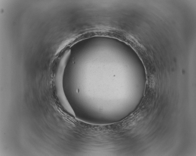 X0000087391208200704271614