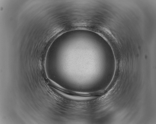 X0000087391209200704271614