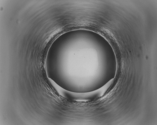 X0000087391210200704271614