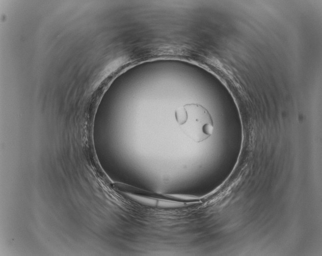 X0000087391211200704271614