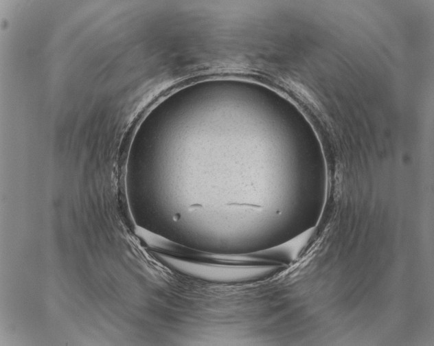 X0000087391212200704271614