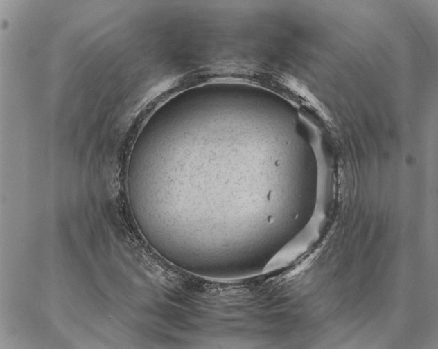 X0000087391213200704271614